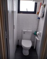 Blk 159 Toa Payoh Green (Toa Payoh), HDB 3 Rooms #563652211